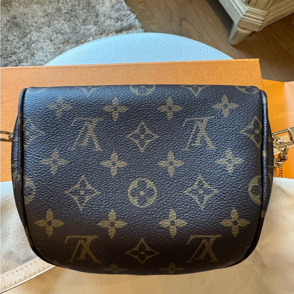 Louis Vuitton Mini Bumbag - Picture 5 of 10